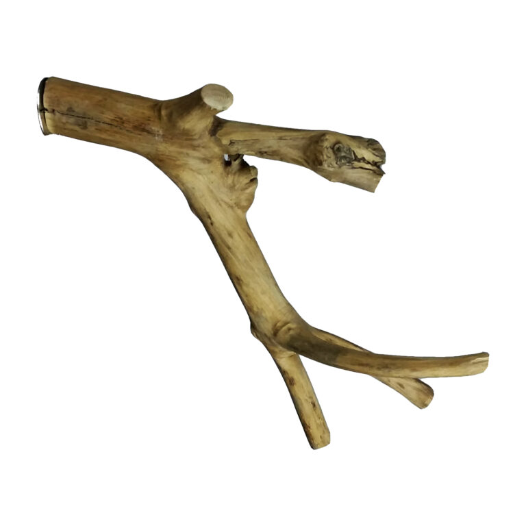 BirdBundlePics_0001_Layer 4